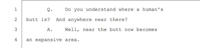 Excerpt of transcript from Attorney General investigation into sexual harassment.